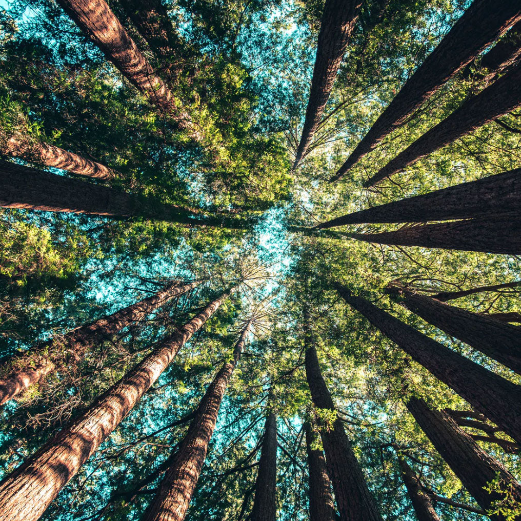 Created with the planet and it’s people in mind.